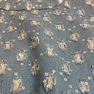 Roberta Embroidered Denim Light Blue Vest